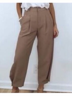 Zara pleated Pants